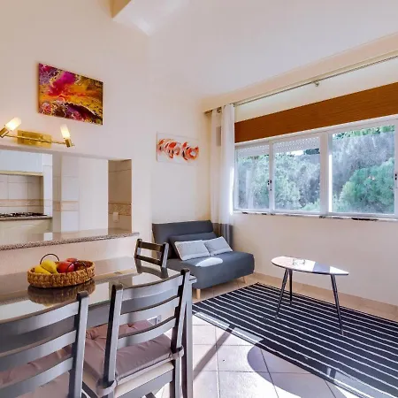 Al - Pinhal Da Apartment *